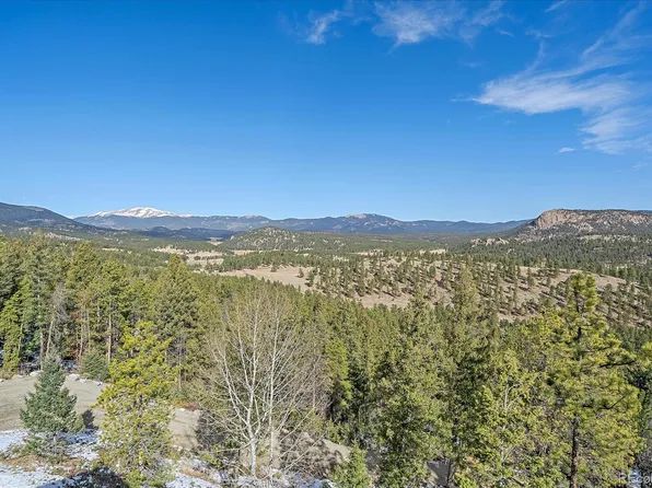 48 High View Lane, Bailey, CO 80421