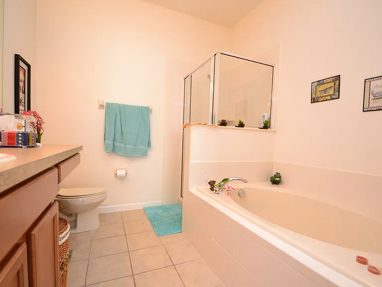 3841 White Birch Run — Photo 10