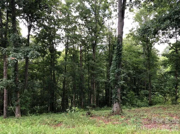 45 Sweet Fern Pkwy #43, Asheville, NC 28804