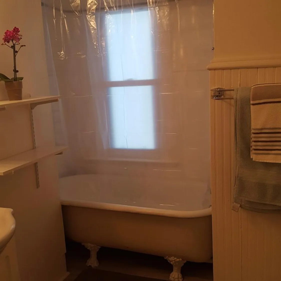 4 bed, 1540 sqft, $850 — Photo 4