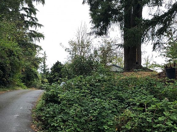 2nd image of 11903 12th St SE