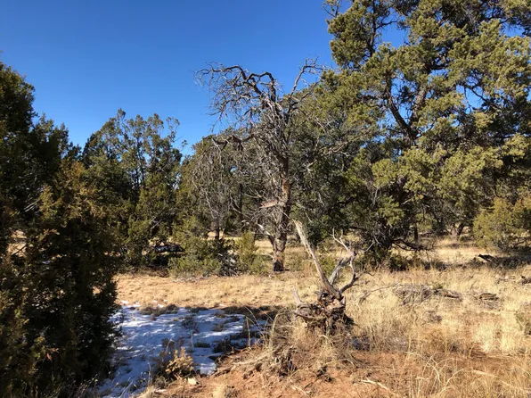 LOT 5 Hickory Ln, Ramah, NM 87321