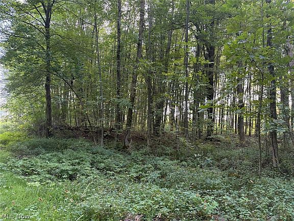 4th image of Center Rd