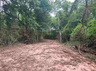 County Road 482, Mount Enterprise, TX 75681