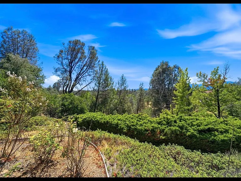 Backyard views