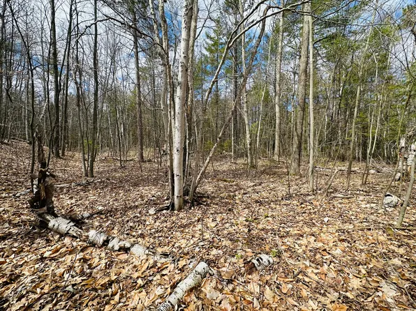 14117 Vaness Dr, Cheboygan, MI 49721