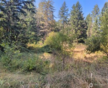 33118 68th Avenue S, Roy, WA, 98580