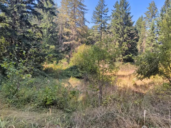 33118 68th Avenue S, Roy, WA 98580