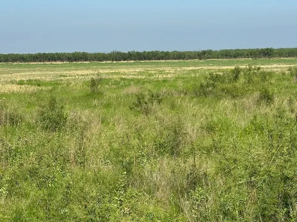 TRACT 24 County Road 105, Abilene, TX 79601