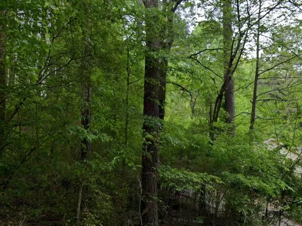 1722 Big Mountain Dr, Birmingham, AL 35235