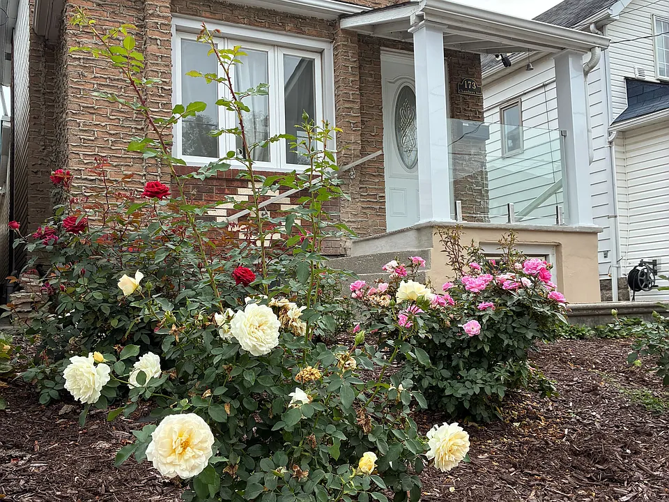 173 Chambers Ave #LOWER