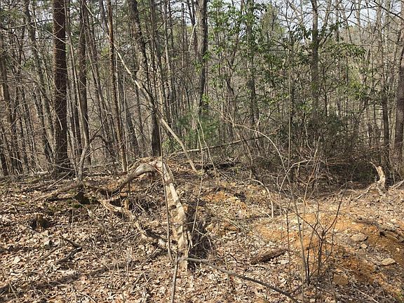 2nd image of 101 Ridgefield Dr Lot 101