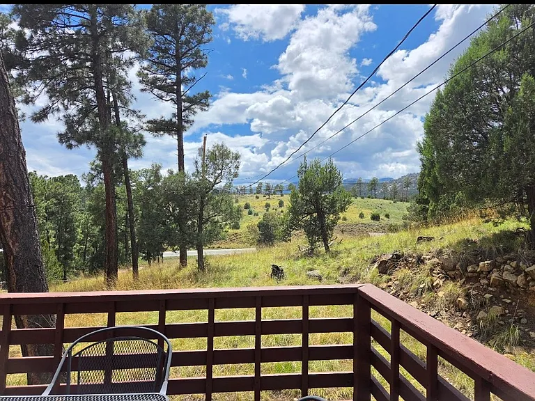 112 Pine Knot Trl — Photo 36