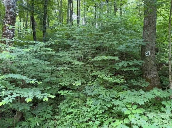 38 Yanasa Trl, Maggie Valley, NC 28751