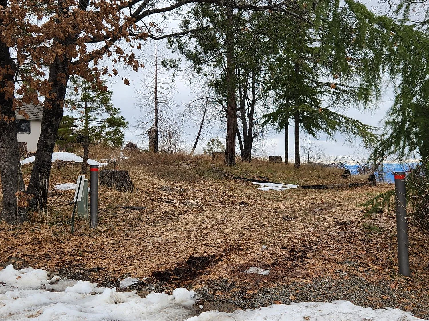 42575 Bald Mountain Rd photo 1