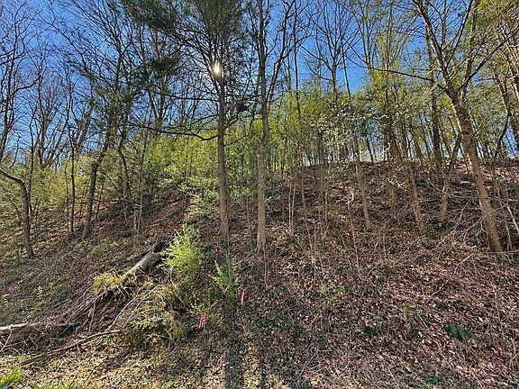 5th image of 0 Lower Hewitt Rd