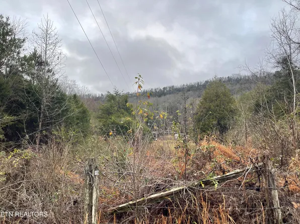 Reagan Valley Rd, Tellico Plains, TN 37385