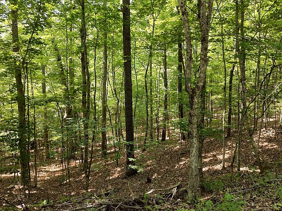 2nd image of 25 Wolf Creek Spur
