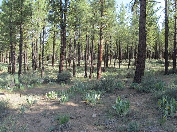 2nd image of 196 Deer Trl