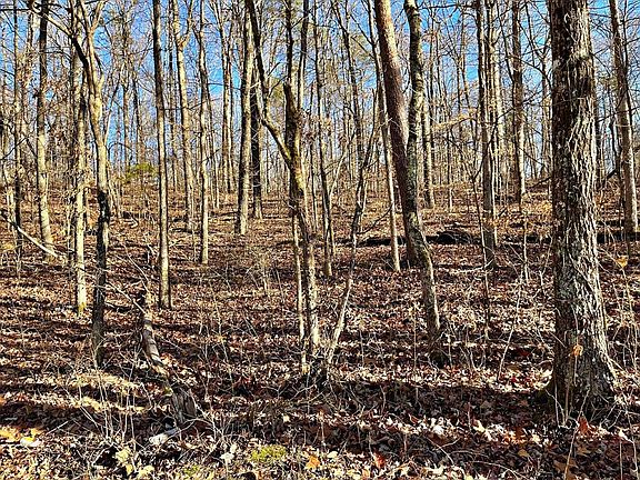 5th image of 0 County Road 138 Lot 2