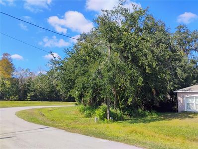 158 Redwing Ct Lot 5, Kissimmee, FL, 34759