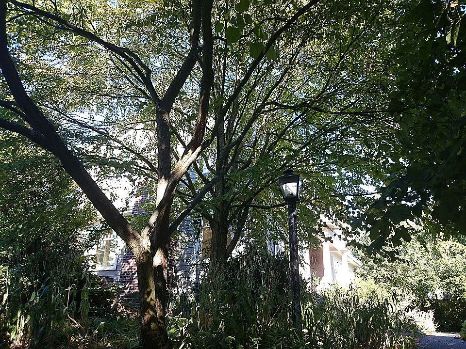 2nd image of 4742 Thackeray Pl NE