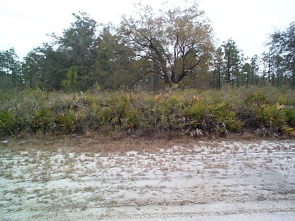 2nd image of Tropicana Dr