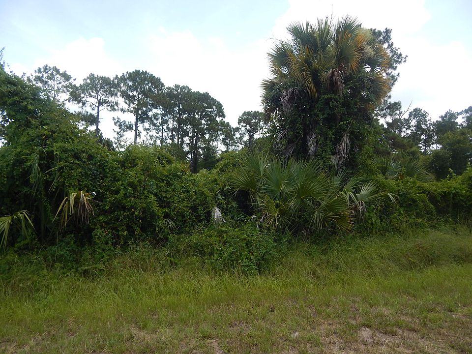 1st image of 775 S Olivo St