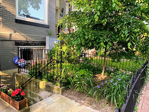 Front garden and window with stairs to entrance