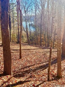 46 Buckhead Dr, Bracey, VA, 23919