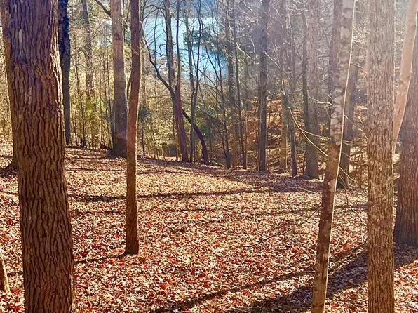 46 Buckhead Dr, Bracey, VA 23919