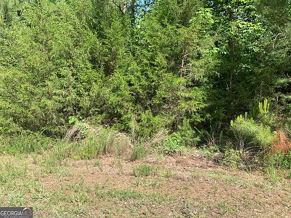 5th image of 1208 Hornets Bridge Rd