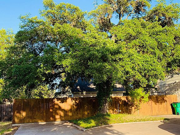 Large oak tree by garage 
