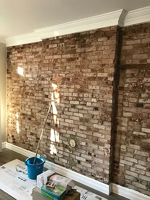 Rented by null | media 11