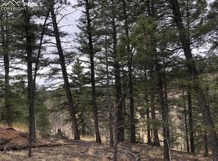 Garnet Way, Florissant, CO 80816