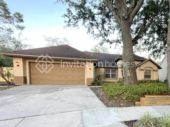 16103 Dowling Ct, Tampa, FL 33647