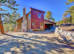 225 S Saddle Dr, Idaho Springs, CO 80452