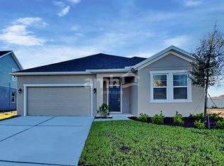 3216 Bridge Haven Dr, Wesley Chapel, FL 33543