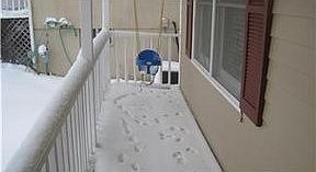 4th image of 1123 NW 63rd St
