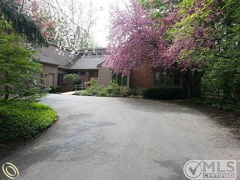 Welcome to Kolly (2).jpg