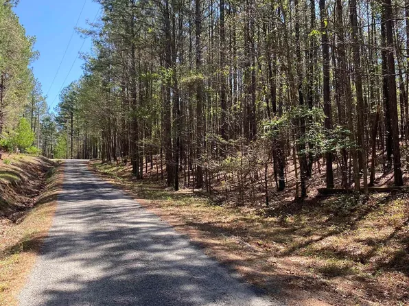 87 Woodland Springs Dr, Mount Ida, AR 71957