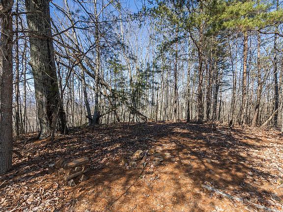 3rd image of 363 Glassy Mountain Church Rd