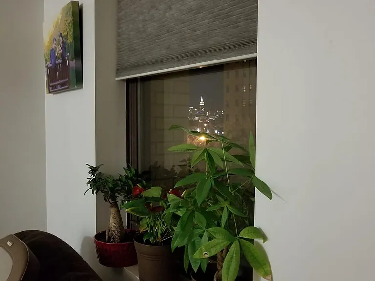 4 Beacon Way #215 — Photo 1