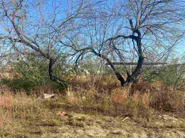 1412 Col Antonio Zapata Ave, Zapata, TX 78076