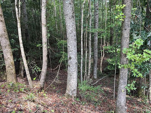 5th image of 0 County Road 79