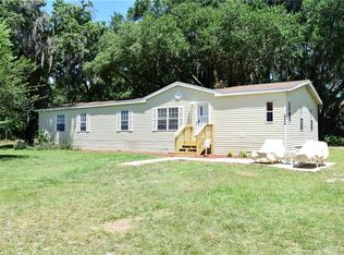 3314 Dark Shadow Ln, Lithia, FL 33547