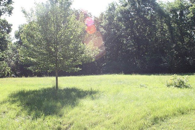 2nd image of 22447 S Kings Ct