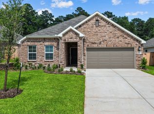 10037 Bigfoot Wallace Dr, Montgomery, TX 77316