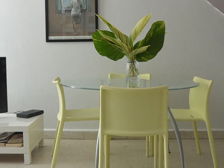155 El Monte North Gdn — Photo 5