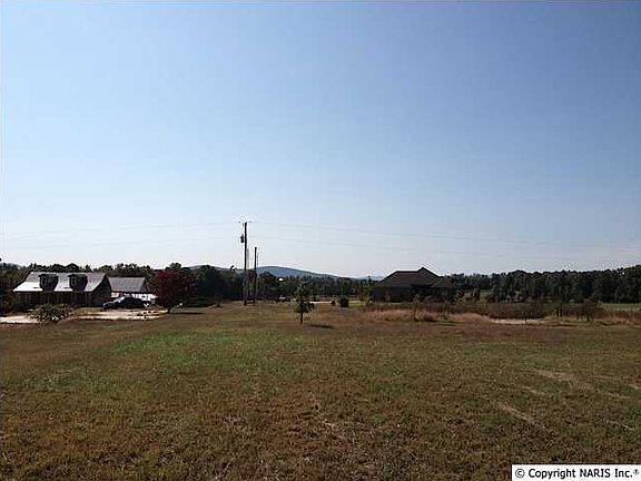 4th image of 730 Hillsboro Cir